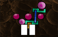 Perfect Balance 3: Last Trials
